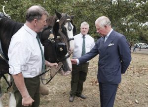 BRITAIN London 06/09/2016 Prince Charles inaugurates the 90th birthday Coronation Meadow to mark the Queen's 90th year by scattering wild seed with some school children. APictured here His Royal Highness meets (l-R) Tom Nixon and Ed McDowell of Operation Centaur who work with The Royal Parks Shire Horses, The Horsea are L-R Roy, Short for Royal and Aragon, who had harrowed and area of the meadow ready for  sowing ©©©©{copyright}