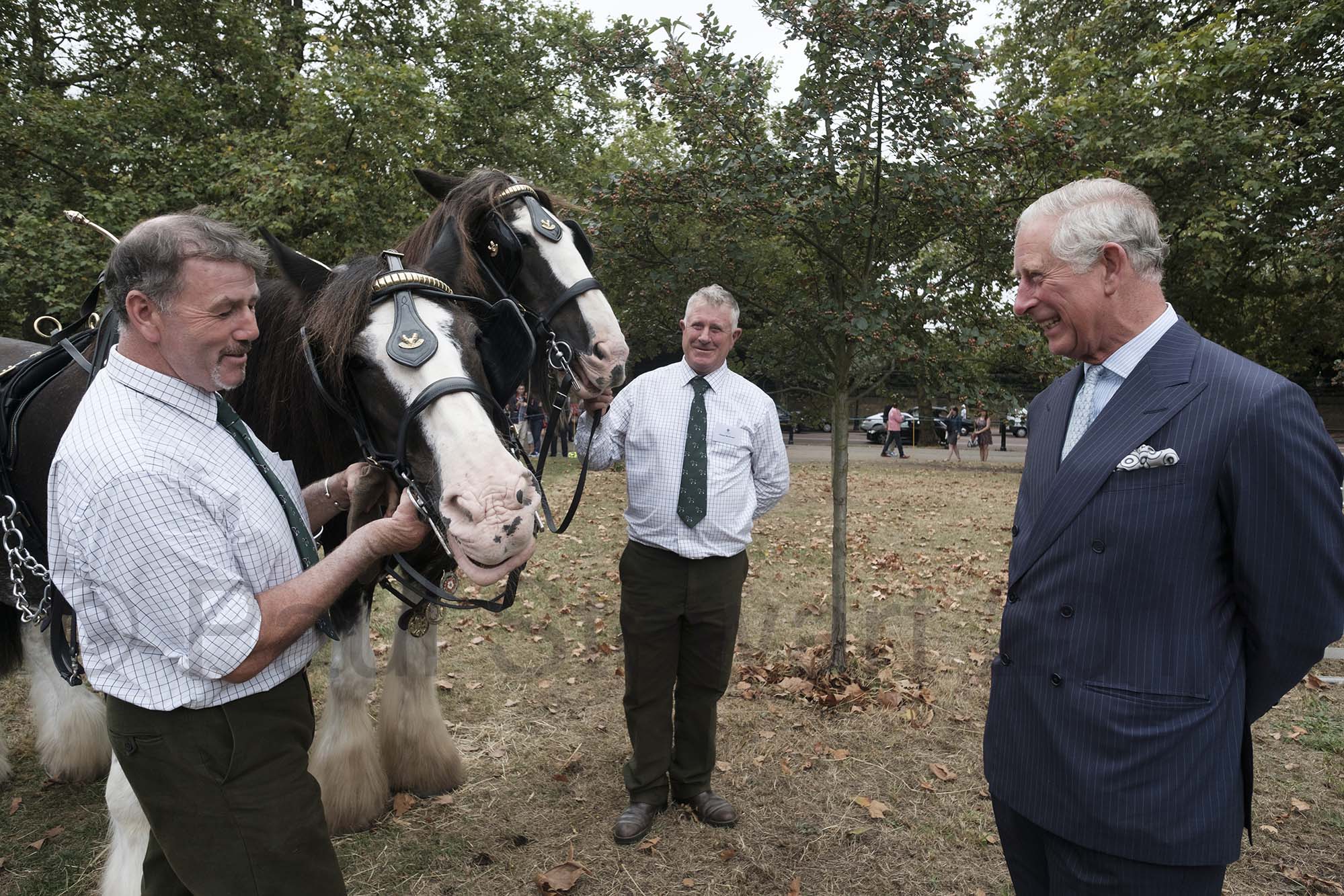BRITAIN London 06/09/2016 Prince Charles inaugurates the 90th birthday Coronation Meadow to mark the Queen's 90th year by scattering wild seed with some school children. Pictured here His Royal Highness meets (l-R) Tom Nixon and Ed McDowell of Operation Centaur who work with The Royal Parks Shire Horses, The Horsea are L-R Roy, Short for Royal and Aragon, who had harrowed and area of the meadow ready for  sowing ©©©©{copyright}